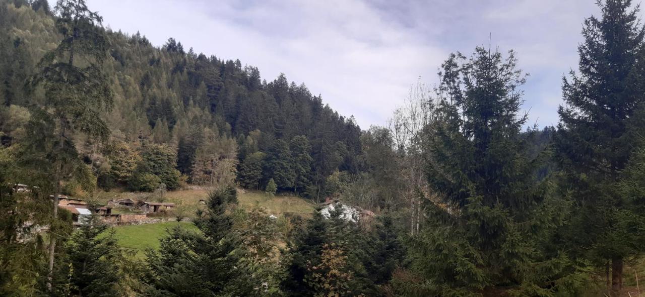 Le Montagnard Appartement Gérardmer Buitenkant foto