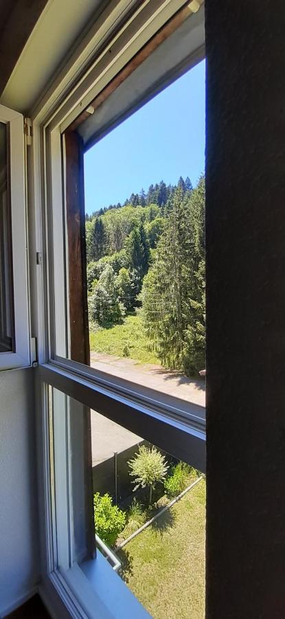 Le Montagnard Appartement Gérardmer Buitenkant foto